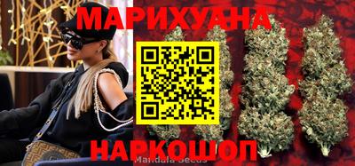 прущие грибы Брянск