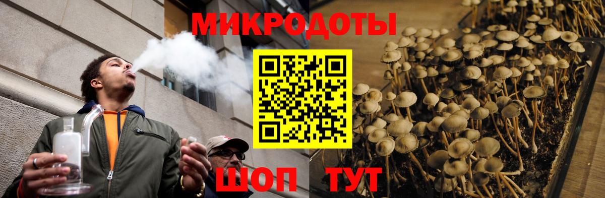 Псилоцибиновые грибы мицелий  сколько стоит  Всеволожск  Псилоцибиновые грибы Magic Shrooms  Вход с VPN 